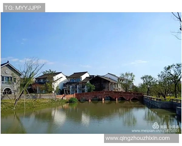 探寻上海排球队的力量与荣耀揭开排球巨献的神秘面纱 探寻上海排球队的力量与荣耀揭开排球巨献的神秘面纱