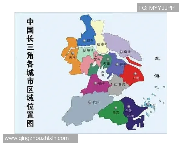 赛后复盘杭州排球队与北京排球队状态分析及未来展望