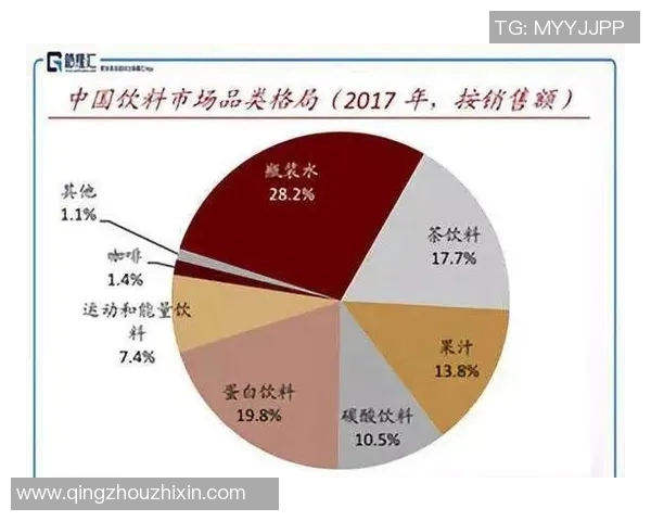 体育实时数据北京篮球队转型之路的纪实探索与发展历程分析